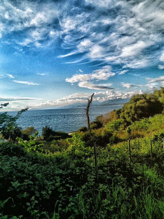 Amalias Place Mytikas  Exteriér fotografie